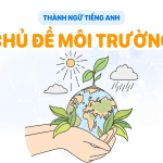 At odds with là gì?Thực tế sử dụng từ này như thế nào